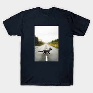 Cat in the road T-Shirt